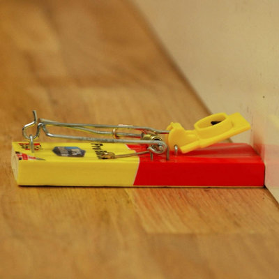 The Big Cheese Fresh Baited Mouse Trap STV Rodent Trap Reusable Indoor ...