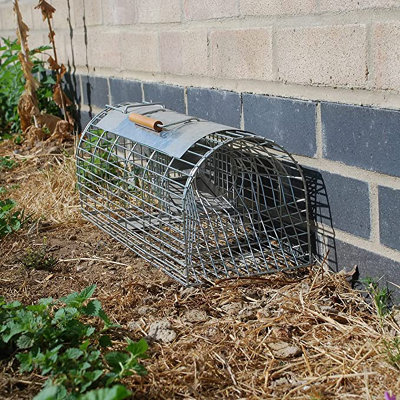 The Big Cheese Live Multi-Catch Rat Trap