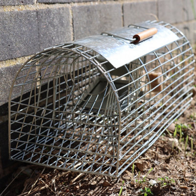 https://media.diy.com/is/image/KingfisherDigital/the-big-cheese-poison-free-ready-baited-multi-catch-rat-cage-trap~5036200122049_02c_MP?$MOB_PREV$&$width=618&$height=618
