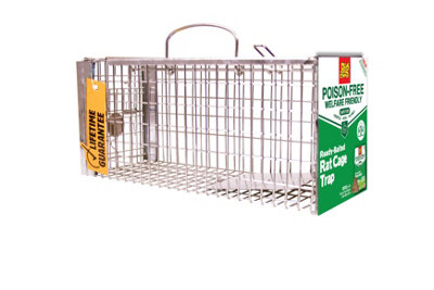 Rat Cage Trap - Humane Rat Trap from The Big Cheese 