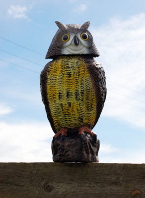 The Big Cheese - Wind Action Owl -