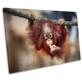 The Big Query Orangutang Monkey Question CANVAS WALL ART Print Picture (H)30cm x (W)46cm