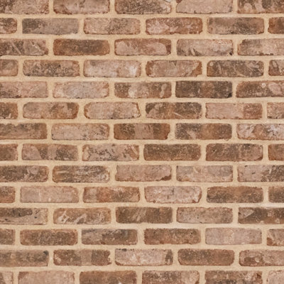 The Brick Tile Company Brick Slip Sample Panel - Brown - Blend 1