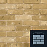 The Brick Tile Company Brick Slip Sample Panel - Yellow - Blend 8