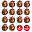 The Christmas Workshop 71560 Set of 14 Red & Green Coloured Classic Santa Design Christmas Baubles 