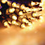 The Christmas Workshop 75220 100 Warm White Christmas Tree Lights