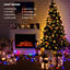 The Christmas Workshop 76000 300 Battery Operated Warm White Christmas Lights