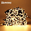 The Christmas Workshop 78100 400 LED Battery Operated Warm White Christmas Lights