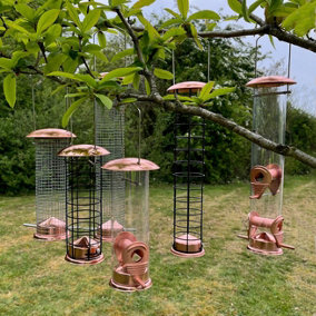 The Crichel Set of 6 Bird Feeders Seed, Nut and Fatball