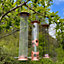 The Crichel Set of 6 Bird Feeders Seed, Nut and Fatball
