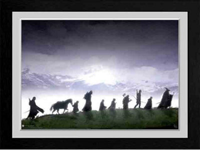 The Lord of The Rings Fellowship 30 x 40cm Framed Collector Print