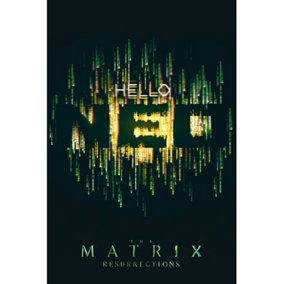 The Matrix Hello Neo 61 x 91.5cm Maxi Poster
