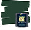 The One Paint Matte Green 250ml