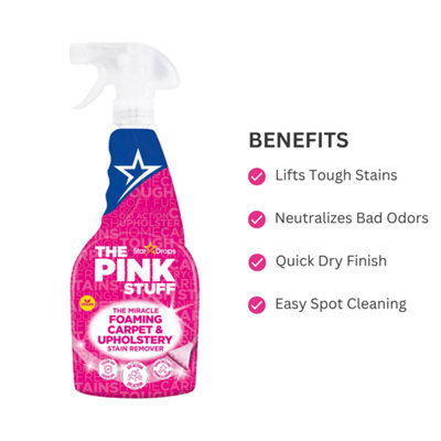 SCRUBBING BUBBLES All Purpose Cleaners MEGA SHOWER FOAMER 20 OZ RAINSH