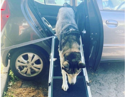 The Ramp People Telescopic Dog Ramp 1.8m 90kg Capacity Pet Ramp for Cars