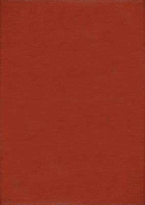 THE RUGS Reversible Waterproof Plain Outdoor Rug Urban 1000 Terra