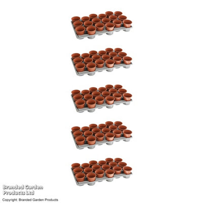 Thompson & Morgan Garden Durable 5x Shuttle Trays 90 Pots: Simplify Plant Transport, Reusable for Seedlings & Plug Growth
