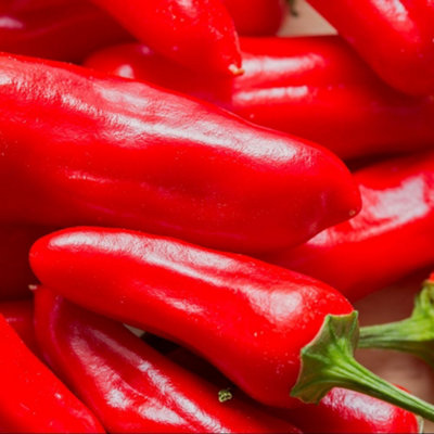 Thompson & Morgan Mixed Chilli Pepper Plants - 3x 9cm Pots