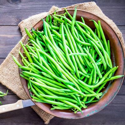 Thompson & Morgan Organic French Bush Bean Compass Seeds - Compact ...