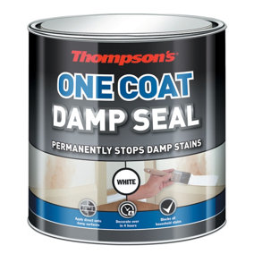 Thompsons 2.5L One Coat Damp Paint White