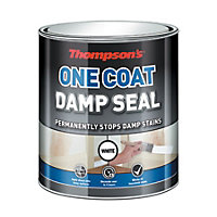 Thompsons 750ml One Coat Damp Seal White