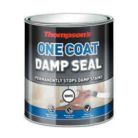 Thompsons 750ml One Coat Damp Seal White