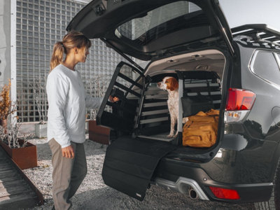 Thule Allax Dog Crate Medium Compact - 770009 - Crash Tested Approved Car Travel - 4