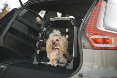 Thule Allax Dog Crate Small - Crash Tested Approved Car Travel