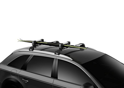 Thule SnowPack S Ski Carrier Rack Holds 2 Pairs of Ski's for Roof Bars 732200