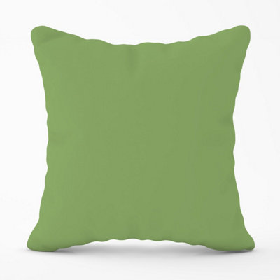 Thyme Green Outdoor Cushion 45cm x 45cm