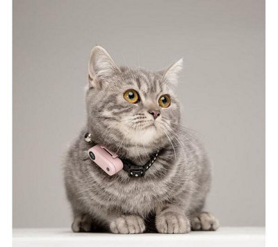 Tickless Mini Cat Ultrasonic Tick Flea Repeller Black