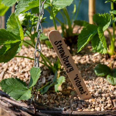Tildenet Wooden Plant Labels Pack of 15cm Biodegradable Garden Markers