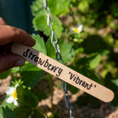 Tildenet Wooden Plant Labels Pack of 15cm Biodegradable Garden Markers