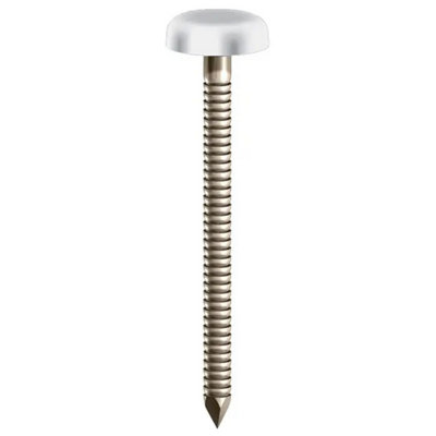 Timber Focus Cladding White Head Colour 30mm Stainless Steel Nails (box ...