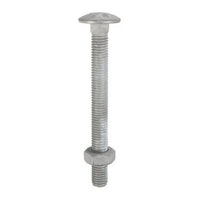 Timco - Carriage Bolts & Hex Nuts - Hot Dipped Galvanised (Size M10 x 100 - 25 Pieces)