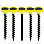 TIMCO Collated Drywall Coarse Thread Bugle Head Black Screws - 3.5 x 25