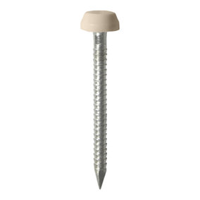 Timco - Polymer Headed Pins - A4 Stainless Steel - Beige (Size 25mm - 250 Pieces)