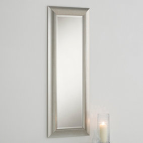 Timeless Silvery Champagne Mirror 129.5x46cm