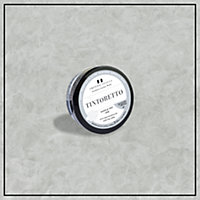 Tintoretto - Matt, Venetian Plaster Effect Paint sample pot. Includes 50g of Paint- Covers 0.25SQM - In Colour ADIGE.