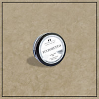 Tintoretto - Matt, Venetian Plaster Effect Paint sample pot. Includes 50g of Paint- Covers 0.25SQM - In Colour OGLIO.