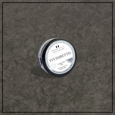 Tintoretto - Matt, Venetian Plaster Effect Paint sample pot. Includes 50g of Paint- Covers 0.25SQM - In Colour PIAVE.