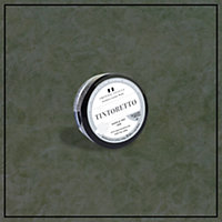 Tintoretto - Matt, Venetian Plaster Effect Paint sample pot. Includes 50g of Paint- Covers 0.25SQM - In Colour SECCHIA.
