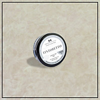 Tintoretto - Matt, Venetian Plaster Effect Paint sample pot. Includes 50g of Paint- Covers 0.25SQM - In Colour SESIA.