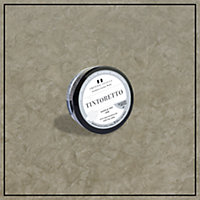 Tintoretto - Matt, Venetian Plaster Effect Paint sample pot. Includes 50g of Paint- Covers 0.25SQM - In Colour TANARO.