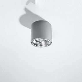 Tiube Aluminium Grey 1 Light Classic Ceiling Light