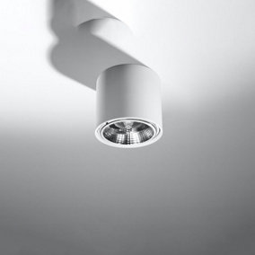 Tiube Aluminium White 1 Light Classic Ceiling Light