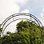 Tivoli Metal Decorative Garden Arch in Black