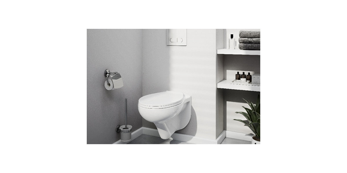 Toilet Buying Guide