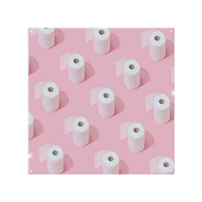 Toilet Rolls Splash Back designer style