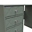 Toledo 4 Drawer Vanity in Reed Green (Ready Assembled)